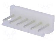 Connector: wire-board; socket; male; PIN: 6; straight; 7A; 250V; THT JOINT TECH
