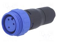 Connector: circular; plug; female; PIN: 3; 250V; w/o contacts; IP68 BULGIN