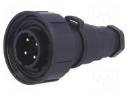 Connector: circular; plug; male; PIN: 4; 10A; 250V; IP68; UL94V-0 BULGIN