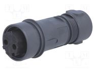 Connector: circular; plug; female; PIN: 2; Buccaneer 6000; UL94V-0 BULGIN