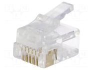 Connector: RJ12; plug; PIN: 6; 6p6c; for cable; IDC,crimped NINIGI
