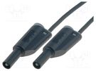 Test lead; 25A; banana plug 4mm,both sides; Len: 2m; black ELECTRO-PJP