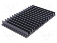 Heatsink: extruded; grilled; black; L: 100mm; W: 159mm; H: 15mm FISCHER ELEKTRONIK