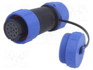 Plug; SP21; female; PIN: 12; with protective cap; IP68; 7÷12mm; 5A WEIPU
