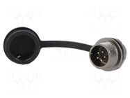 Connector: circular; socket; male; PIN: 5; IP67; ST12; 5A; 180V WEIPU