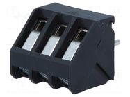 Connector: PCB terminal block; terminal; 24A; 250V; angled 45° PTR MESSTECHNIK