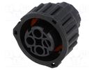 Connector: circular; 2.5mm System; female; plug; for cable; PIN: 3 TE Connectivity