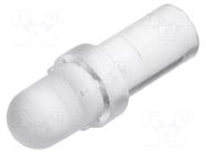 Fiber for LED; Ø3mm; L: 6.35mm; round; Front: convex; straight; PLP1 BIVAR