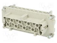 Connector: HDC; contact insert; female; C146; PIN: 16; 16+PE; 19A AMPHENOL