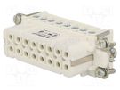 Connector: HDC; contact insert; female; C146; PIN: 16; 16+PE; 14A AMPHENOL