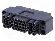 Connector: rectangular; AMP M Series; plug; male/female; PIN: 34 TE Connectivity