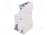 Circuit breaker; 230/400VAC; Inom: 10A; Poles: 1; Charact: B; 6kA SIEMENS