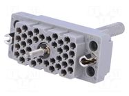 Connector: rectangular; 516; socket; hermaphrodite; PIN: 38; 2kV EDAC