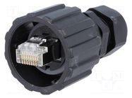 Connector: RJ45; plug; PIN: 8; Cat: 5e; shielded; Layout: 8p8c; 24AWG CONEC