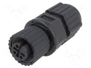 Connector: M12; plug; PIN: 3; female; 250V; straight; IP67,IP68; 4A AMPHENOL LTW