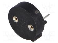 Fuse holder; miniature fuses; THT; TR5; -40÷85°C; 6.3A; UL94V-0 SCHURTER