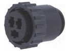 Plug; female; PIN: 3; w/o contacts; CPC Series 3; for cable TE Connectivity