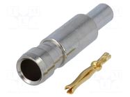 Connector: antenna; plug; WICLIC; straight 4CARMEDIA