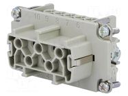 Connector: HDC; contact insert; female; C146,heavy|mate; PIN: 10 AMPHENOL