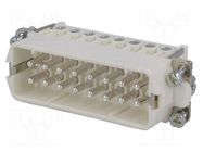 Connector: HDC; contact insert; male; 14A; 250V; PIN: 16; 16+PE AMPHENOL