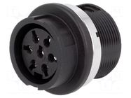 Connector: DIN; socket; female; C091B; PIN: 7; 360°; soldering; 300V AMPHENOL