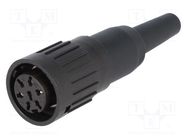 Plug; DIN; female; PIN: 7; Layout: 360°; straight; for cable; 300V; 5A AMPHENOL
