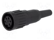 Connector: DIN; plug; female; C091B; PIN: 5; 240°; straight; 300V; 5A AMPHENOL