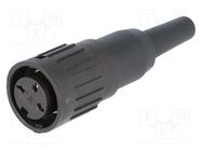 Connector: DIN; plug; female; PIN: 3; straight; for cable; soldering AMPHENOL