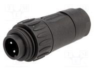 Connector: circular; plug; for cable; PIN: 4; male; screw terminal AMPHENOL