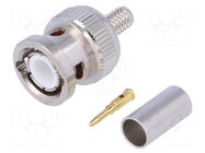 Connector: BNC; plug; male; straight; 50Ω; Ømax: 5mm; crimped NINIGI