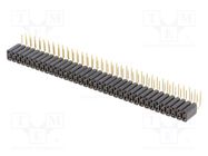 Socket; pin strips; female; PIN: 72; angled 90°; 2.54mm; THT; 2x36 FISCHER ELEKTRONIK