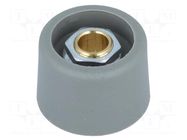 Knob; without pointer; polyamide; Øshaft: 6mm; Ø23x16mm; grey OKW