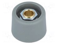 Knob; without pointer; polyamide; Øshaft: 6mm; Ø23x16mm; grey OKW
