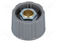 Knob; without pointer; ABS; Øshaft: 6.35mm; Ø23x15.5mm; grey; A2523 OKW