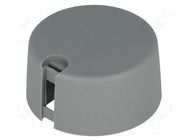 Knob; with pointer; plastic; Øshaft: 6mm; Ø31x16mm; grey; A10 OKW