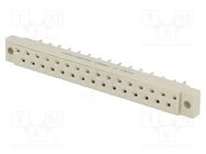 Socket; DIN 41617; female; PIN: 31; for cable; straight; 4A; 250V CONEC