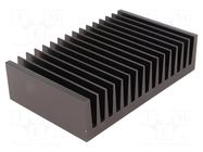 Heatsink: extruded; grilled; black; L: 100mm; W: 160mm; H: 40mm FISCHER ELEKTRONIK