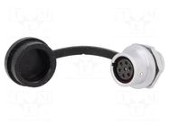 Connector: circular; socket; female; PIN: 7; IP67; SF12; 5A; 125V WEIPU