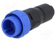 Connector: circular; plug; male; PIN: 6; w/o contacts; for cable 