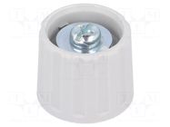 Knob; polyamide; Øshaft: 6mm; grey; clamp mechanism with screw RITEL