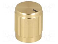 Knob; with pointer; aluminium,thermoplastic; Øshaft: 6mm; golden SR PASSIVES