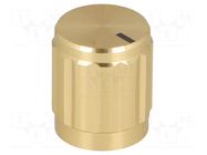 Knob; with pointer; aluminium,thermoplastic; Øshaft: 6mm; golden SR PASSIVES