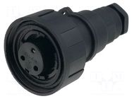 Connector: circular; plug; female; PIN: 3; 12A; 250V; IP68; UL94V-0 BULGIN