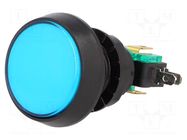 Switch: push-button; Pos: 2; SPDT; 10A/250VAC; ON-(ON); Illumin: LED HIGHLY ELECTRIC