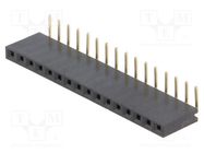 Socket; pin strips; female; PIN: 16; angled 90°; 2.54mm; THT; 1x16 CONNFLY