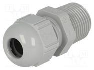 Cable gland; NPT3/8"; IP68; polyamide; grey LAPP