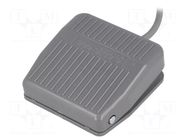 Switch: foot; Stabl.pos: 1; SPDT; 10A/250VAC; Leads: cables; 1m; 7N TEND