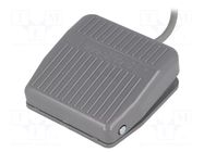 Switch: foot; Stabl.pos: 1; SPDT; 10A/250VAC; Leads: cables; 1m; 7N TEND