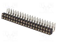 Connector: pin strips; socket; female; PIN: 40; turned contacts CONNFLY