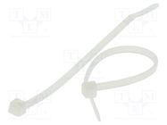 Cable tie; L: 1530mm; W: 9mm; polyamide; 800N; natural; Ømax: 460mm BM GROUP